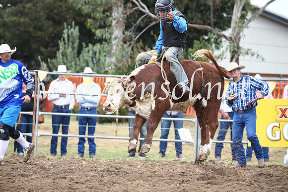 JindabyneRodeo2016-198