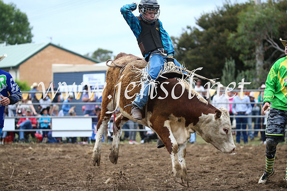 JindabyneRodeo2016-1113