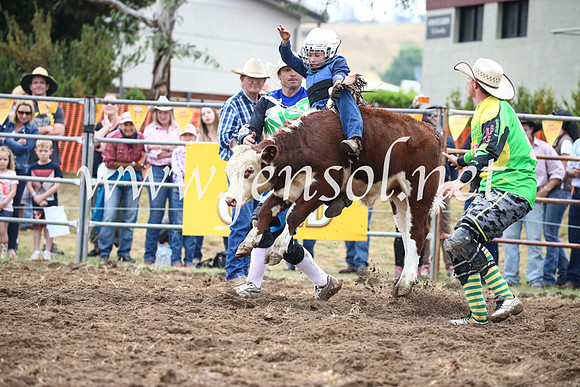 JindabyneRodeo2016-797
