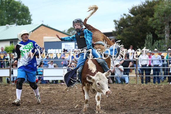 JindabyneRodeo2016-1114