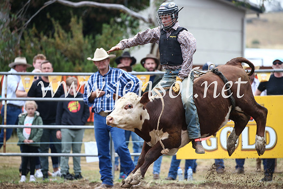 JindabyneRodeo2016-1027