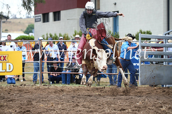 JindabyneRodeo2016-1226