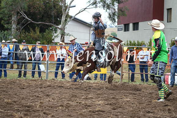 JindabyneRodeo2016-396