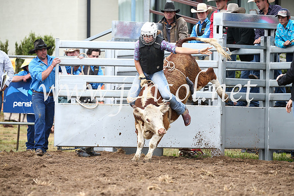 JindabyneRodeo2016-221