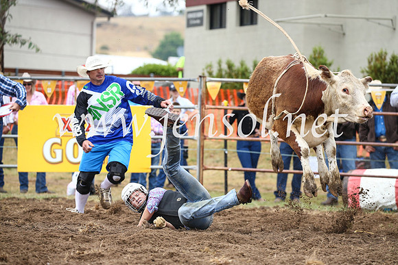 JindabyneRodeo2016-239