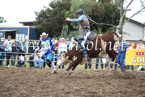 JindabyneRodeo2016-389