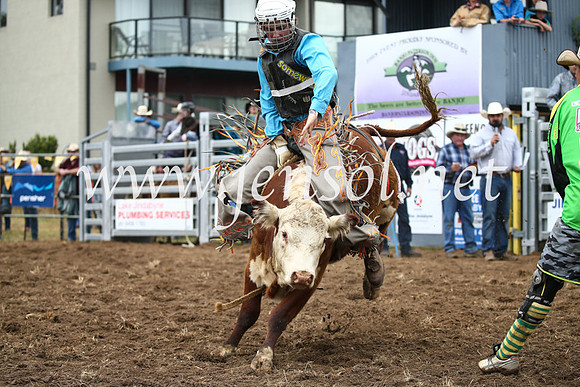JindabyneRodeo2016-1247