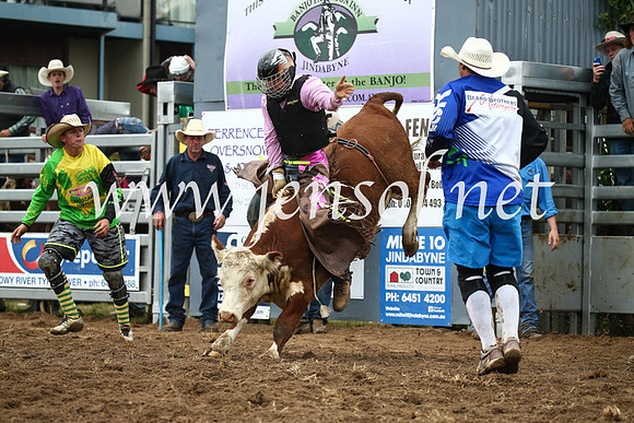 JindabyneRodeo2016-1142