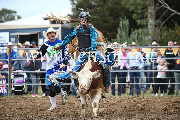 JindabyneRodeo2016-1097