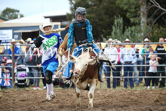 JindabyneRodeo2016-1094