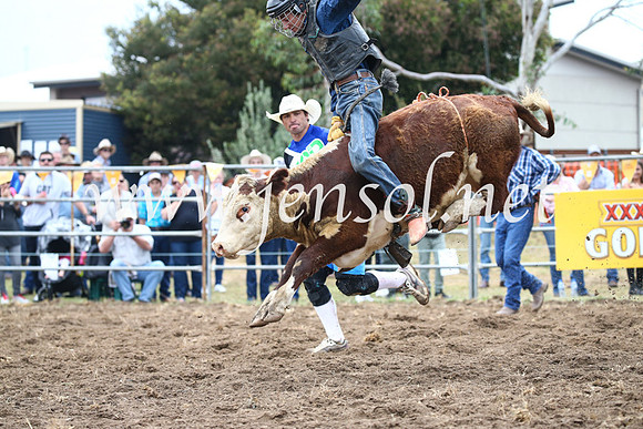 JindabyneRodeo2016-1006