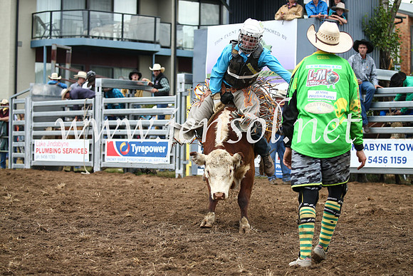 JindabyneRodeo2016-1236