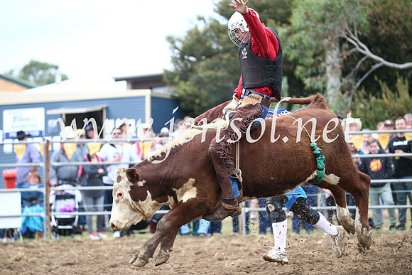 JindabyneRodeo2016-1196