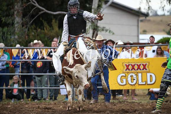 JindabyneRodeo2016-1262