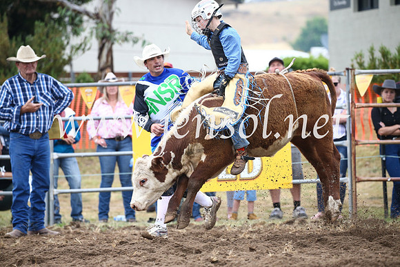 JindabyneRodeo2016-712