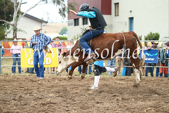 JindabyneRodeo2016-678