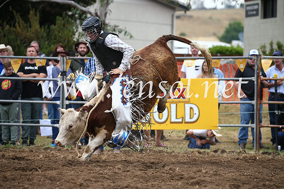 JindabyneRodeo2016-1274