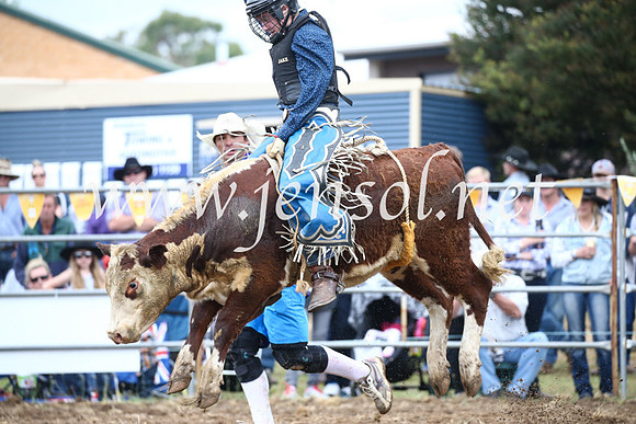 JindabyneRodeo2016-1305