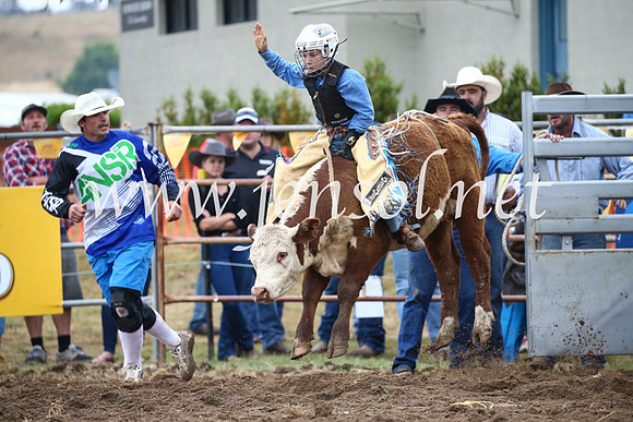 JindabyneRodeo2016-702