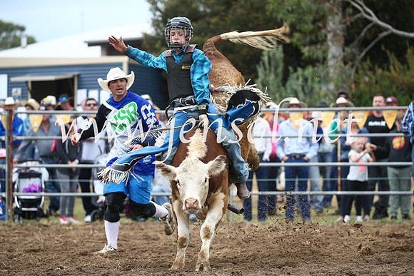 JindabyneRodeo2016-1104