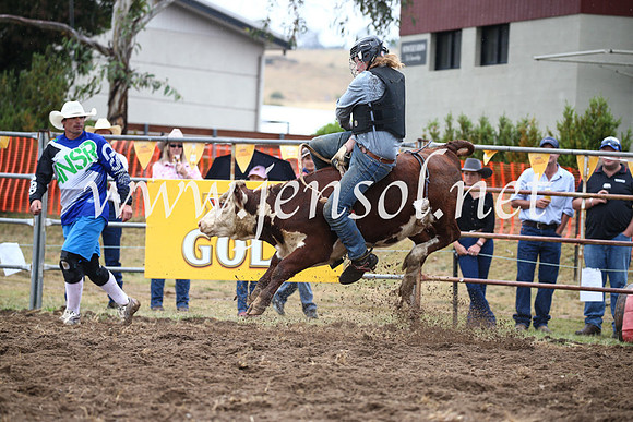 JindabyneRodeo2016-515