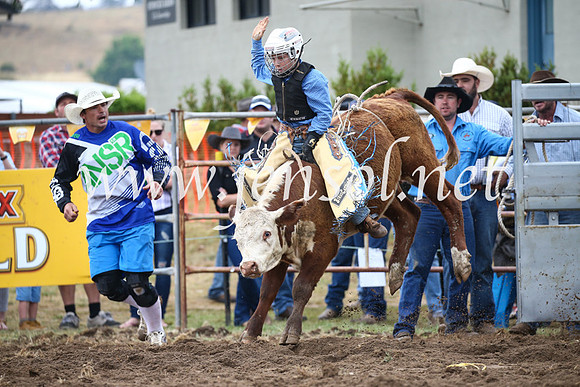 JindabyneRodeo2016-704