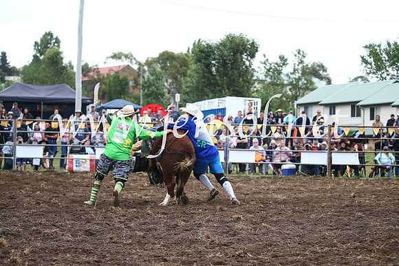 JindabyneRodeo2016-502