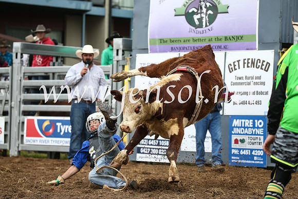 JindabyneRodeo2016-258