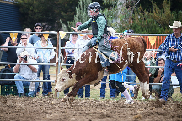 JindabyneRodeo2016-744