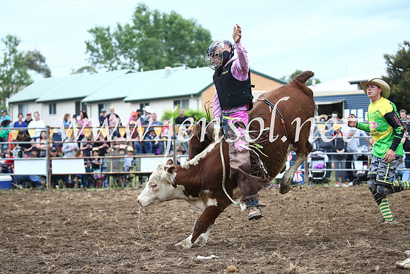 JindabyneRodeo2016-1152