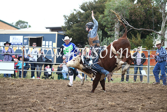 JindabyneRodeo2016-394