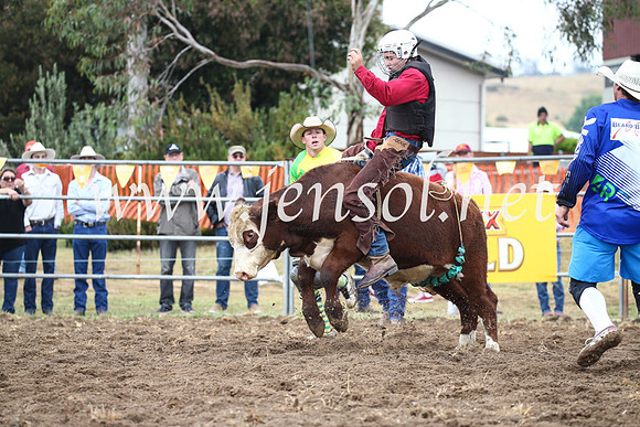 JindabyneRodeo2016-327