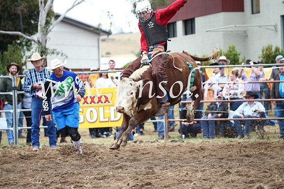 JindabyneRodeo2016-1178