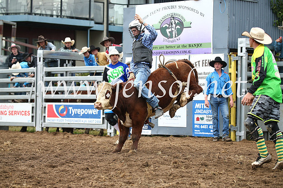 JindabyneRodeo2016-883