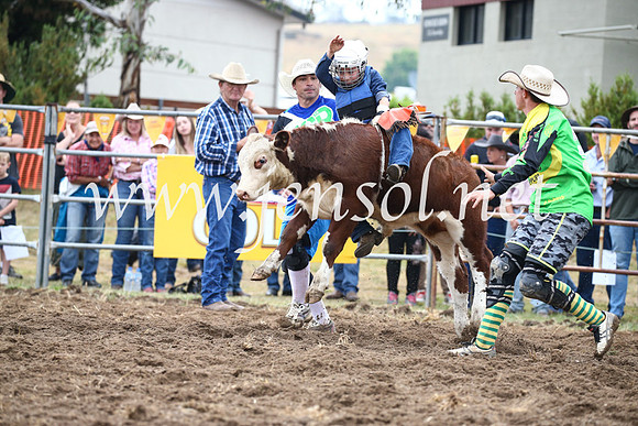 JindabyneRodeo2016-794