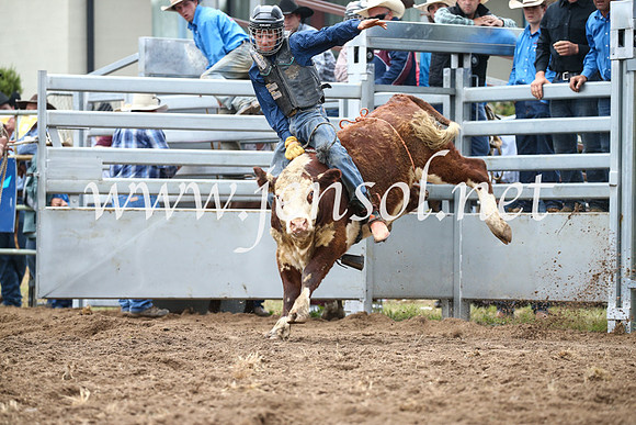 JindabyneRodeo2016-985