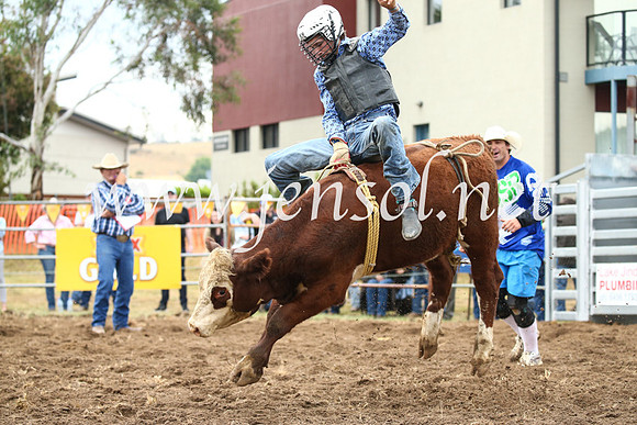 JindabyneRodeo2016-914