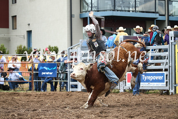 JindabyneRodeo2016-1074
