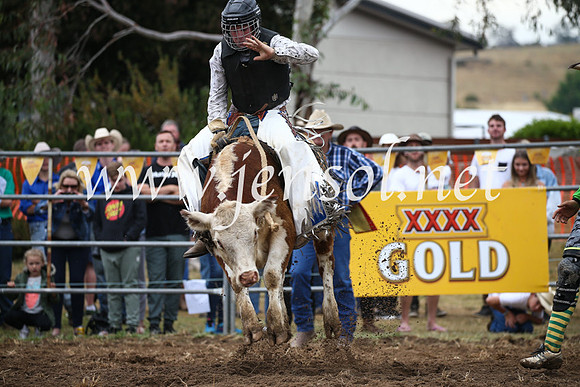 JindabyneRodeo2016-1263