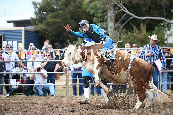 JindabyneRodeo2016-1085
