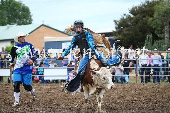 JindabyneRodeo2016-1109
