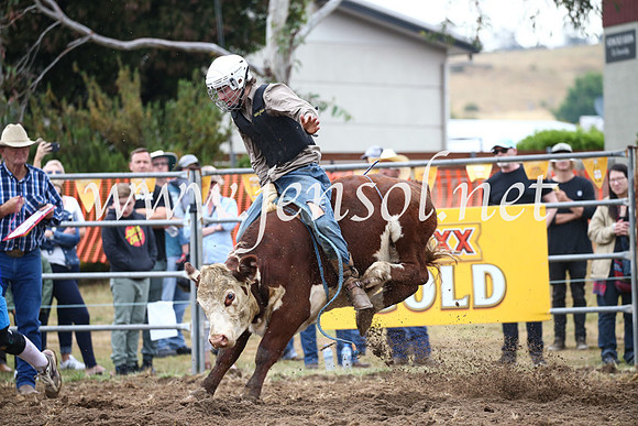 JindabyneRodeo2016-934