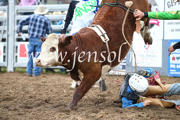 JindabyneRodeo2016-773