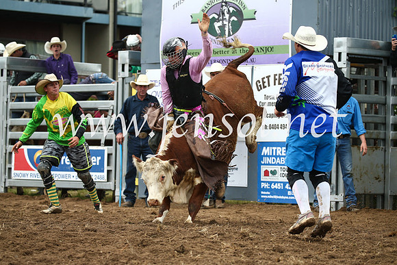 JindabyneRodeo2016-1143
