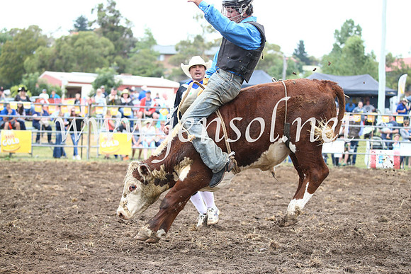 JindabyneRodeo2016-220