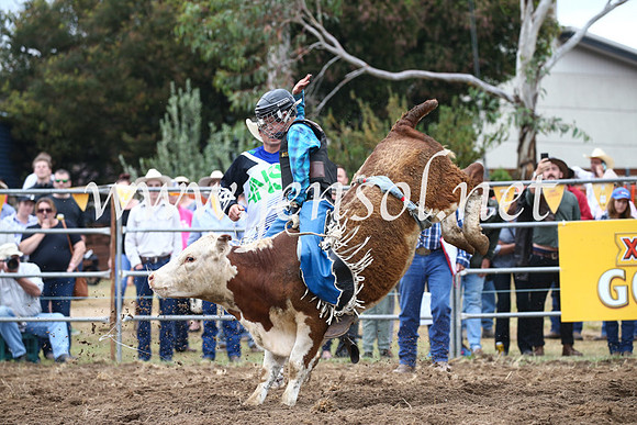 JindabyneRodeo2016-1082