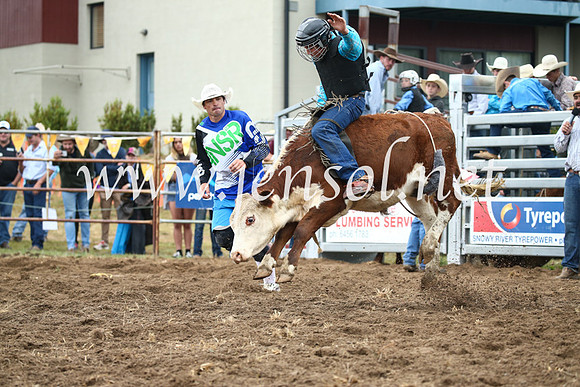 JindabyneRodeo2016-684