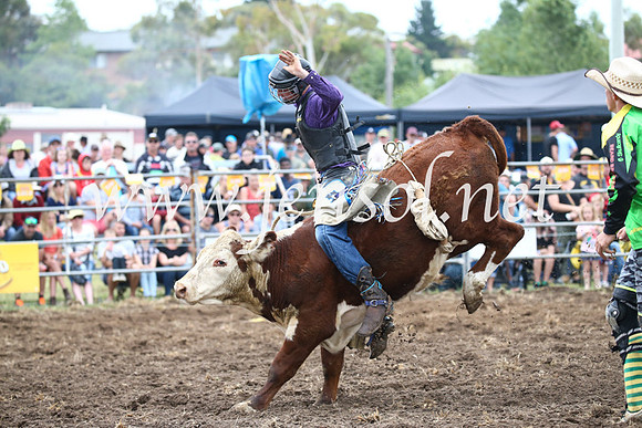 JindabyneRodeo2016-971