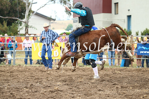 JindabyneRodeo2016-676