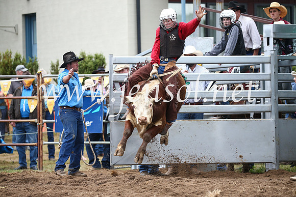 JindabyneRodeo2016-1176